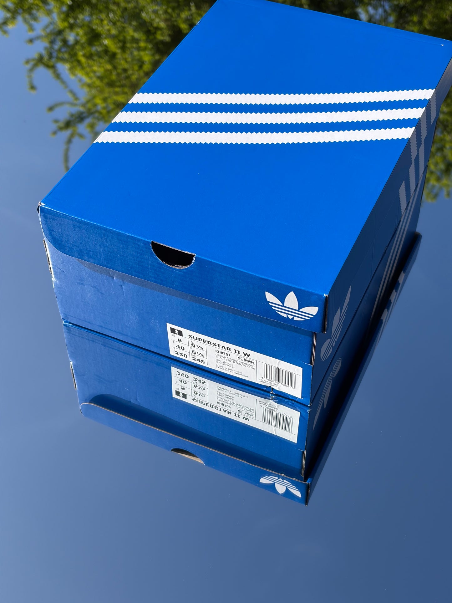 Adidas Superstar Latte X Molly-Mae - Taille 40