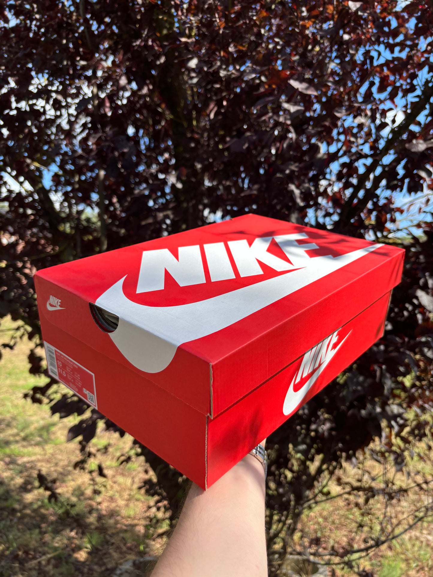 Nike Air Pegasus 2k5 Sunrise - 44