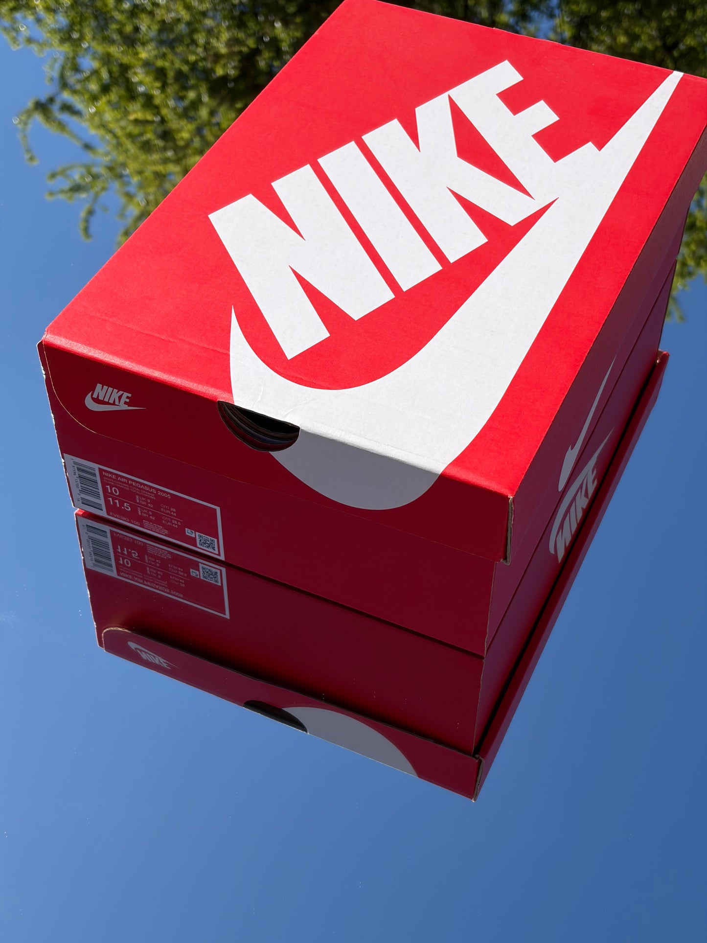 Nike Air Pegasus 2k5 Sunrise - Taille 44