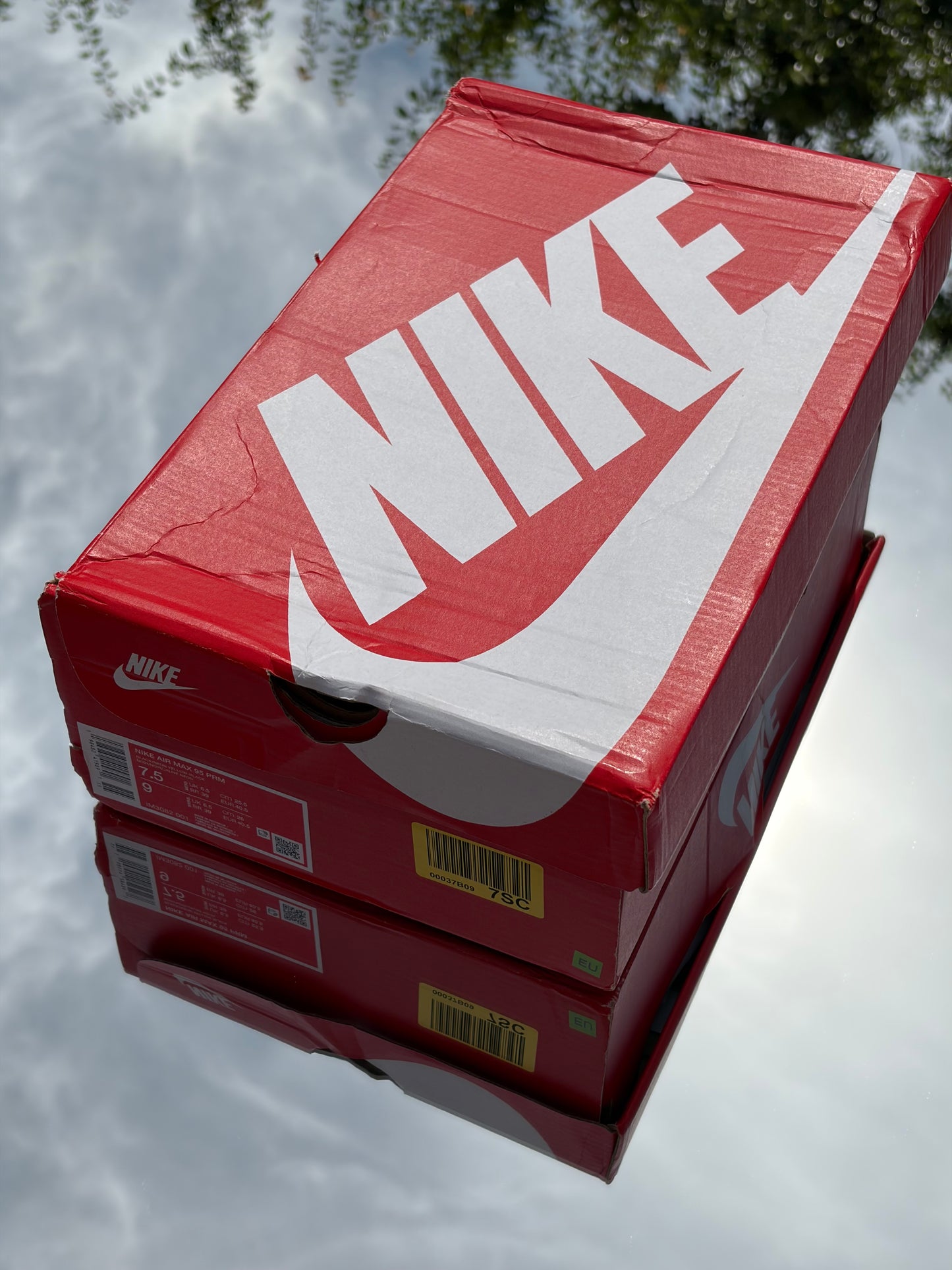 Nike Air Max 95 Houseflies - Taille 40,5