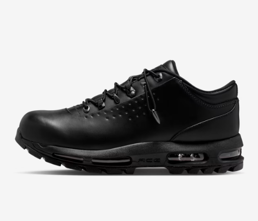Nike Air Max Goadome Low Black