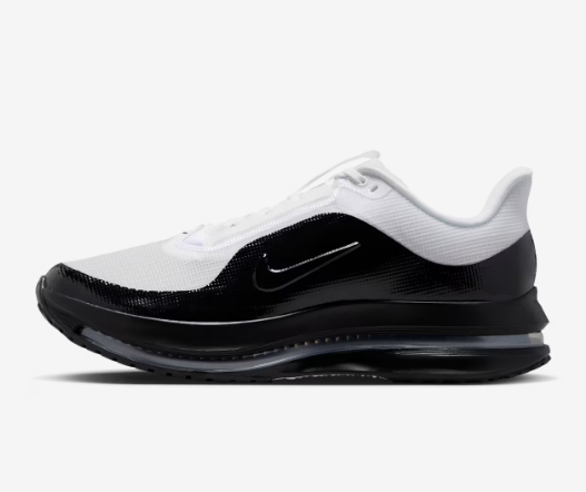 Nike Pegasus Premium White and Black