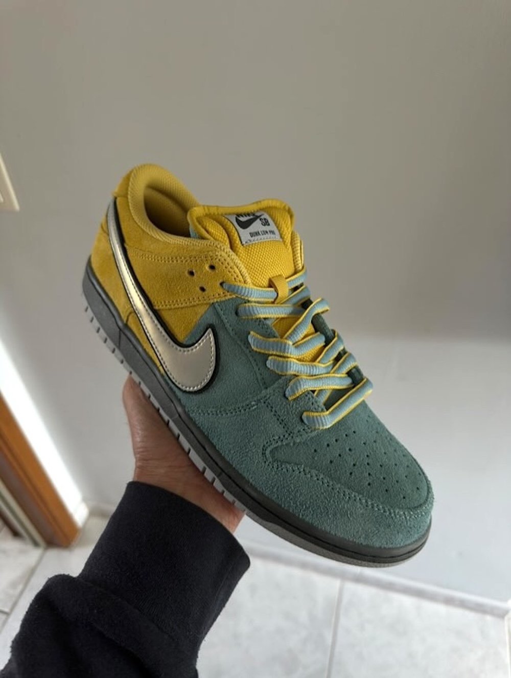 Nike Dunk SB Muni Fast Pass