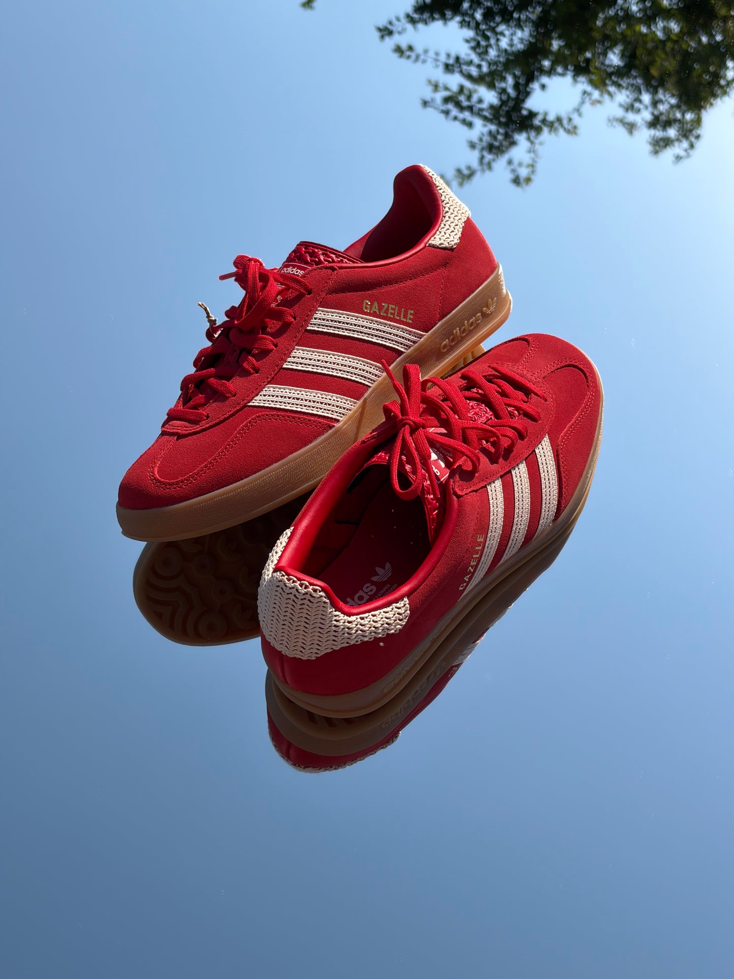 Adidas Gazelle Indoor Better Scarlet - Taille 38,5