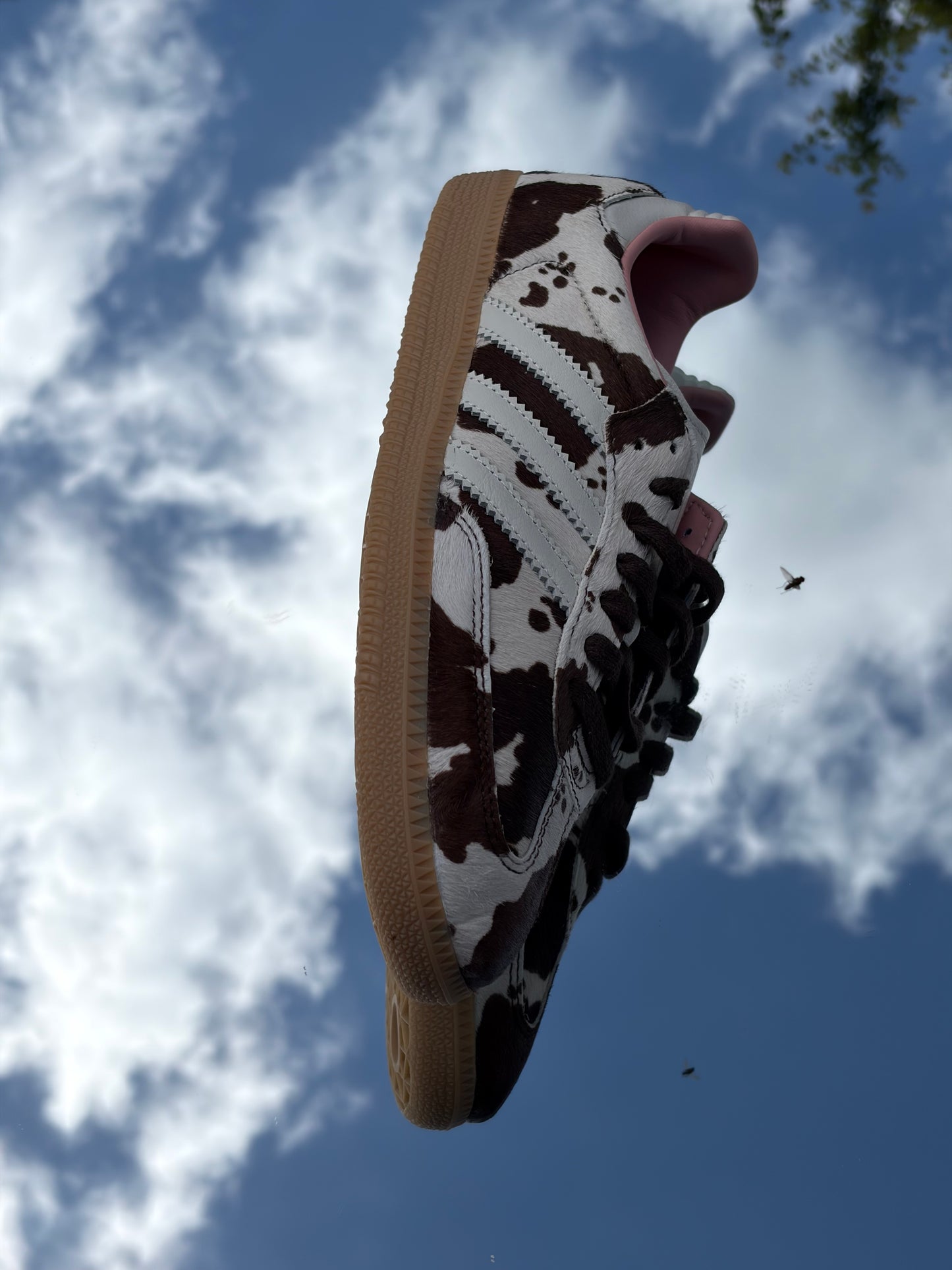 Adidas Samba Cow Print - Taille 42,5