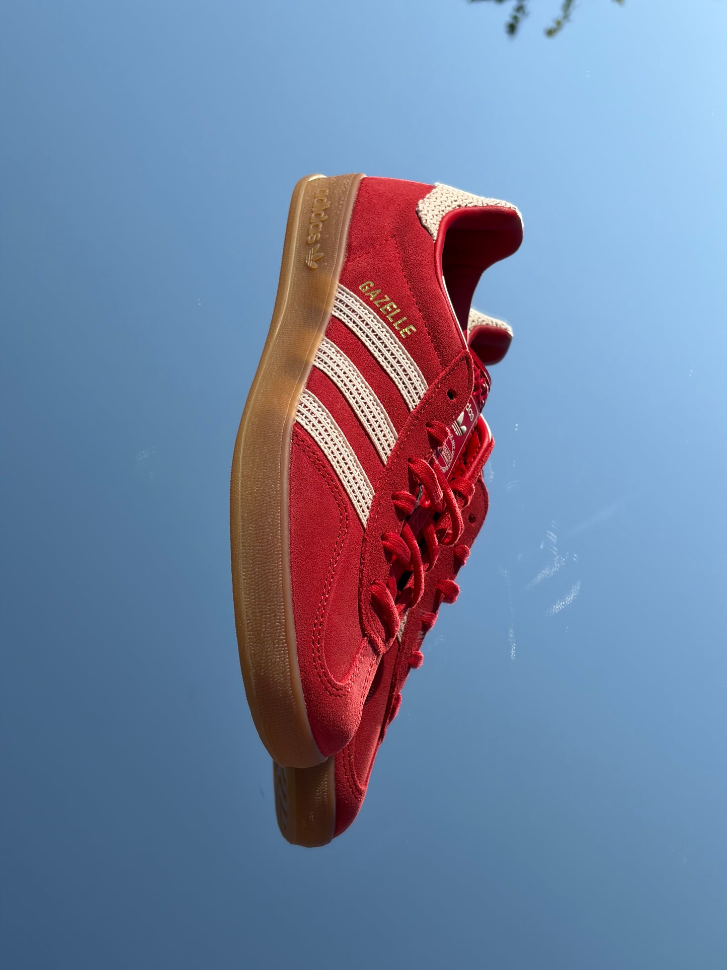 Adidas Gazelle Indoor Better Scarlet - Taille 38
