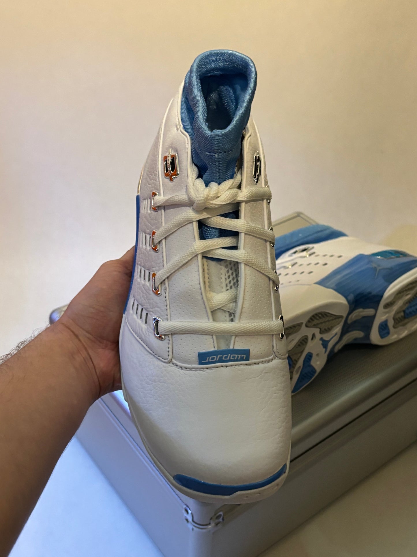 Jordan 17 Low UNC (Taille 43)