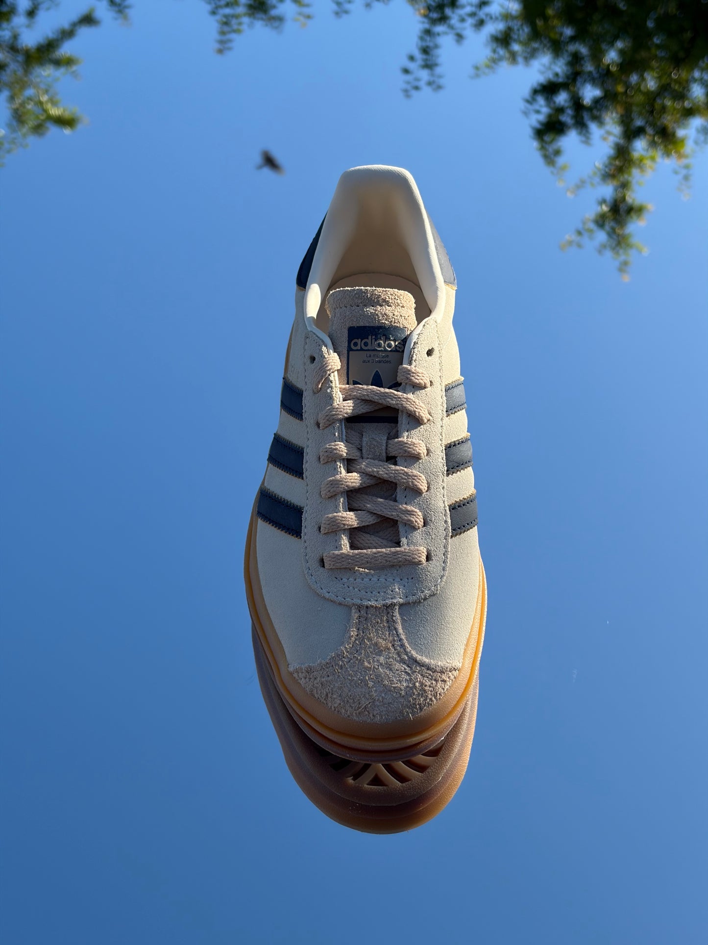 Adidas Gazelle Bold Cream Night Indigo - Taille 36