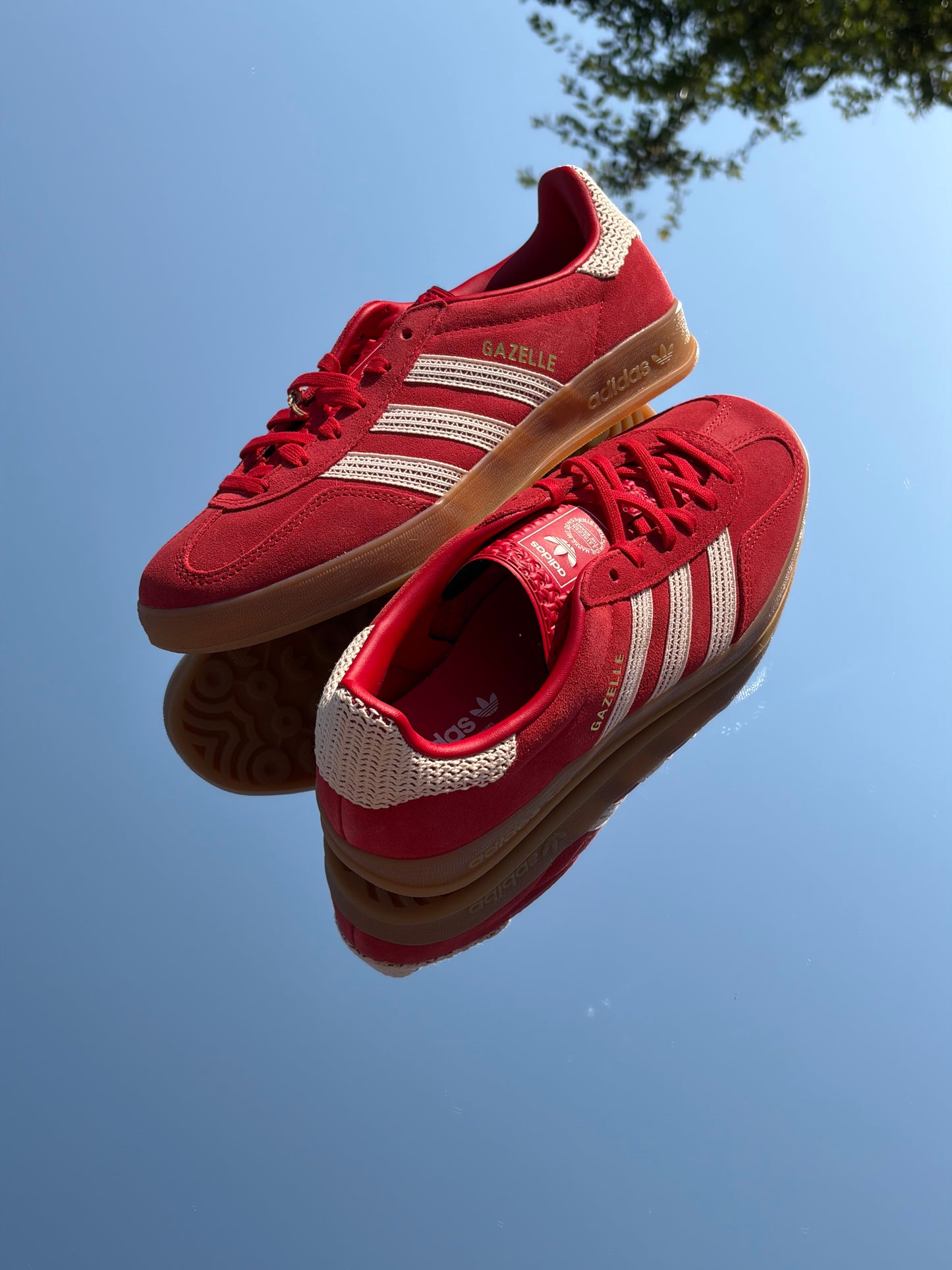 Adidas Gazelle Indoor Better Scarlet - Taille 38
