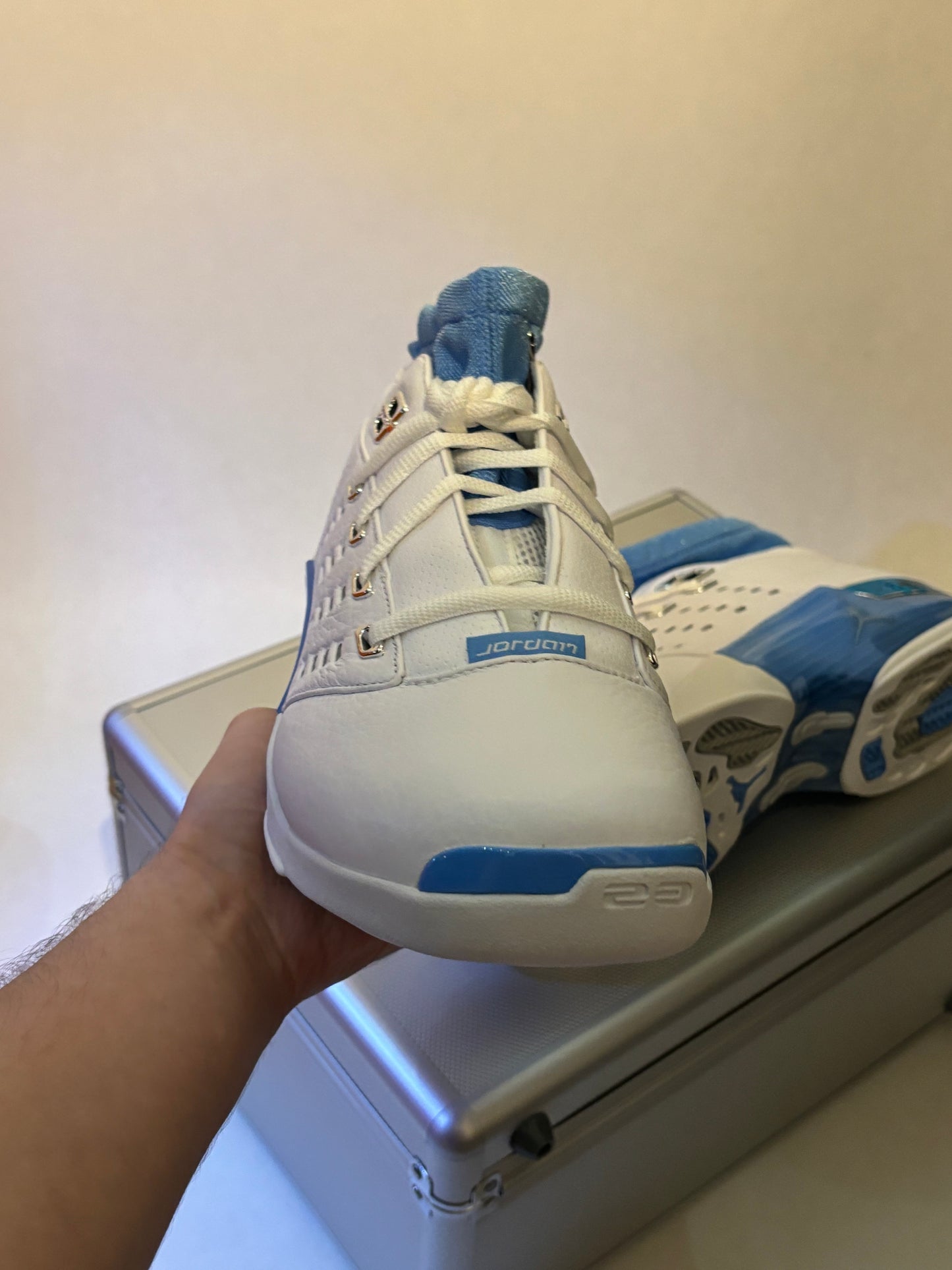 Jordan 17 Low UNC (Taille 43)