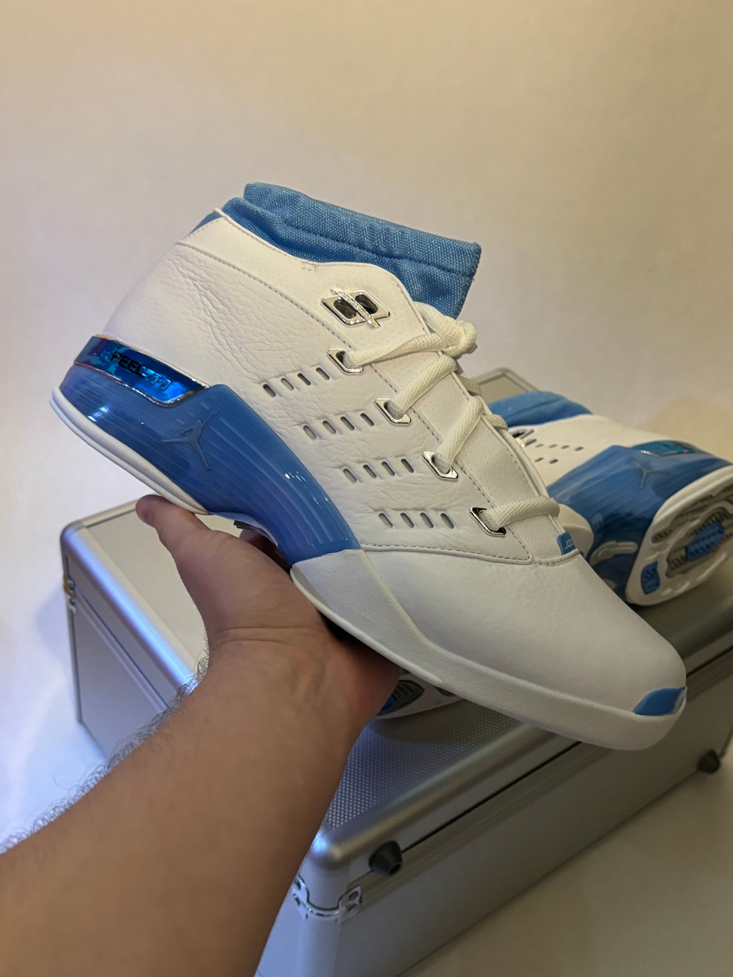 Jordan 17 Low UNC (Taille 43)