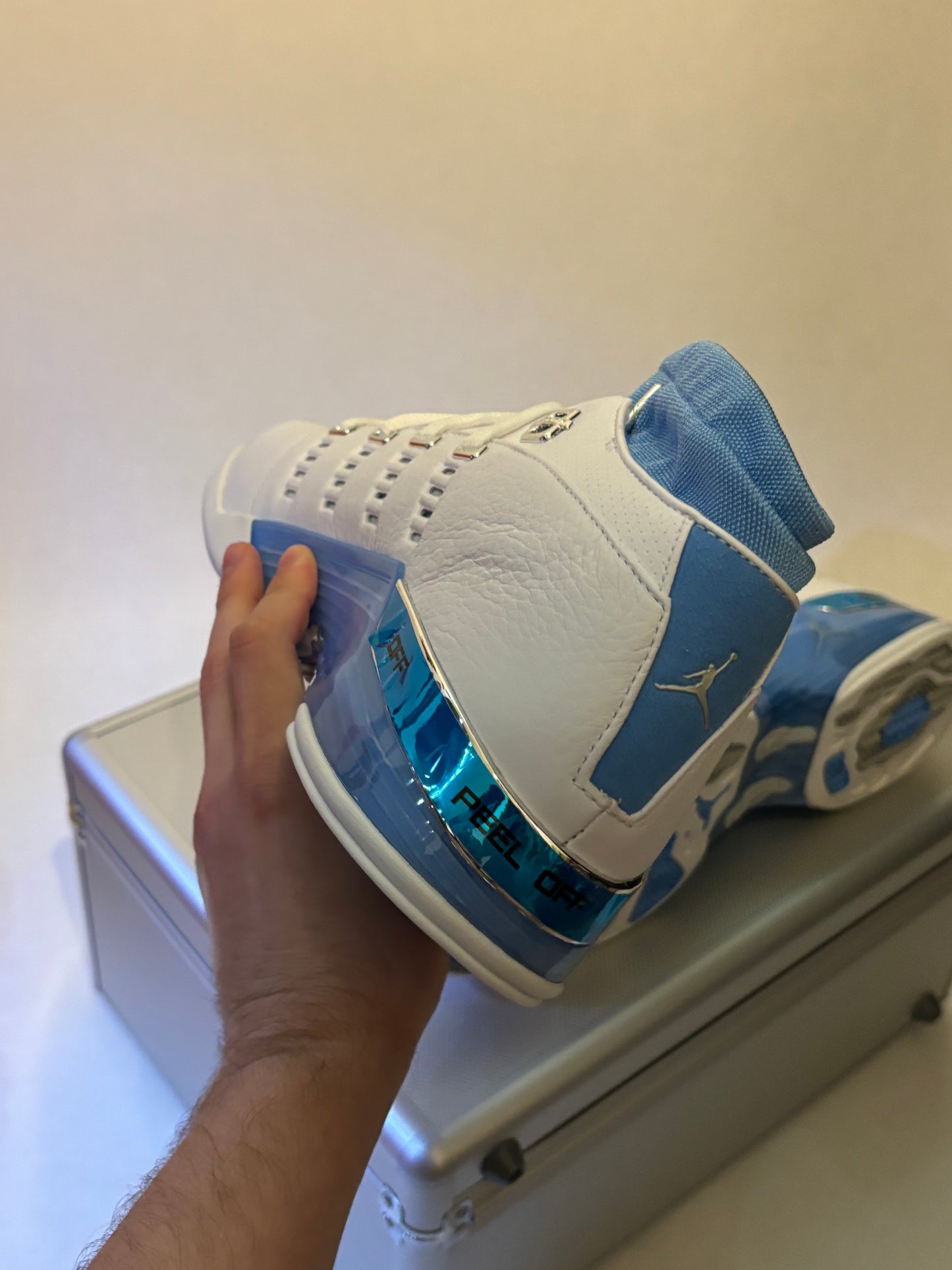 Jordan 17 Low UNC (Taille 43)